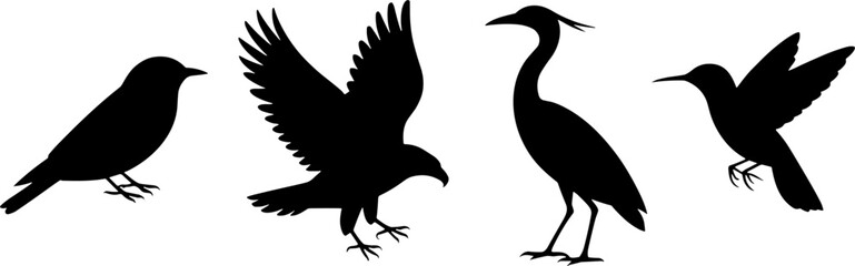 Silhouette Bird Set Songbird Hawk Heron Hummingbird Wildlifes