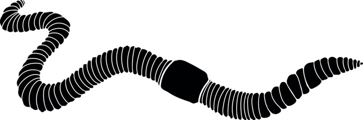 Black silhouette of earthworm isolated on white background