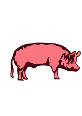 cochon face cartoon gros