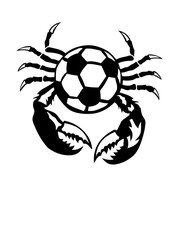 Obraz premium football pince homard crustace logo
