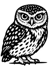 Naklejka premium Detailed black and white owl vector on white background. Perfect for engraving, prints, logos, coloring pages, and creative bird projects