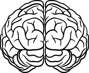 Isolated vector of two parts of human brain. Left and right brain hemispheres in flat minimalist design. Medical and educational black outline element