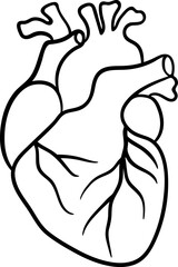 Black outline human heart clipart. Simplified flat isolated design. Drawing for medical, educational, and scientific use. Cardiology icon for healthcare infographics, textbooks, and web design