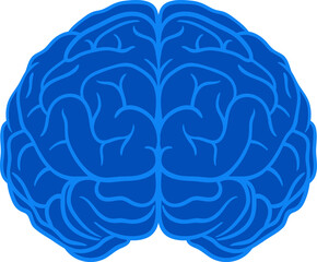 Blue flat vector illustration of human brain. Modern medical anatomy icon. Use for healthcare, education, apps, infographics, and web design