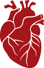 Abstract anatomical heart symbol . Simplified cardiovascular isolated element. Human heart clipart for infographics, apps, websites, and presentations