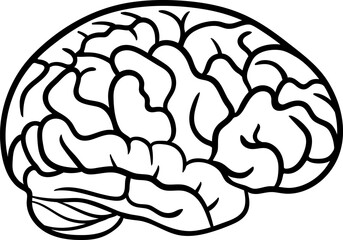 Side view of human brain outline vector illustration. Simplified black line hand drawing of brain anatomy. Minimalist medical Clip Art
