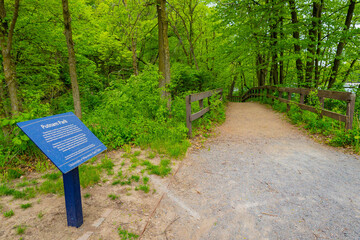 Scenic Nature Trail Views from Putnam Park in Eau Claire