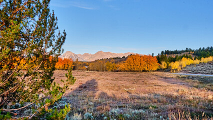 A beautiful, colorful autumn morning in the Grand Teton National Park in Wyoming 