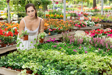 In sunny colorful setting of outdoor garden center, enthusiastic Spaniard female shopper in white...