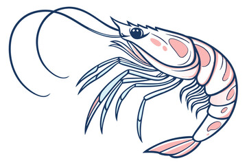 Outlined shrimp with pink patches and elongated antennae appears on the bright white background