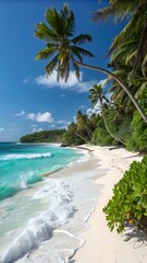 Tropical beach paradise with turquoise water and palm trees