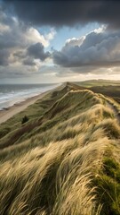 Coastal dune landscape with windswept grass and dramatic sky
