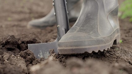 Worker works ground with shovel tool. Farmer digs ground with shovel in his garden. Close-up....