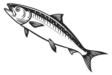 A solitary, black and white scombroid fish swims powerfully through the water with open mouth