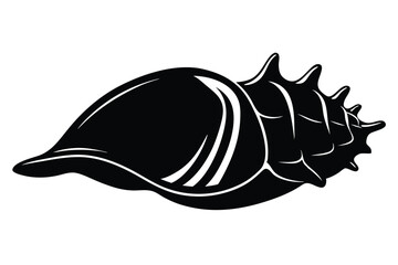 Sharp conical spire sea snail exhibits a monochrome shell in side view