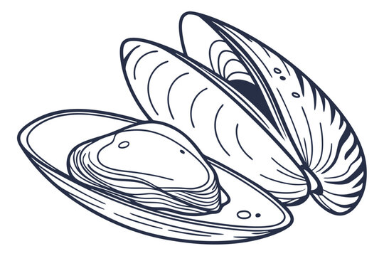 Mussels clip art preview