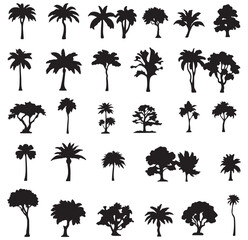 silhouette tree line drawing set, Side view, set of graphics trees elements outline symbol for architecture and landscape design drawing.  EPS 10