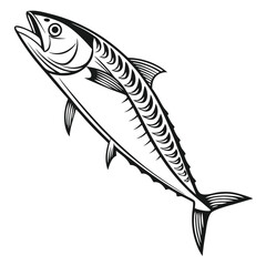 Isolated monochrome shows a detailed mackerel fish in a jumping pose on white