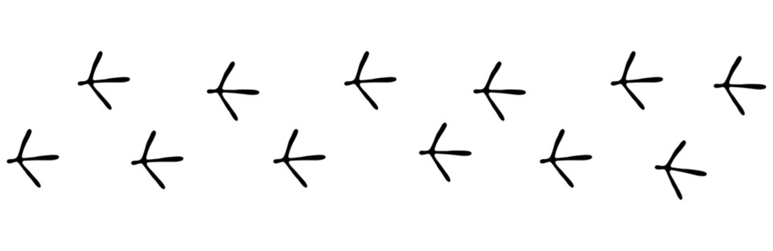 Bird footprint chicken foot track, feet print, paw step hand drawn doodle. Sketch simple turkey, hen trail. Crow walk steps mark.