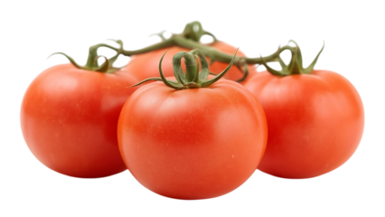 Whole fresh tomatoes, close-up view from the front, white background,cherry,raw,object