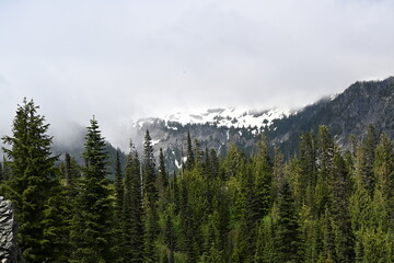 Rainier 
