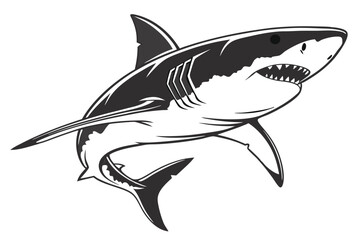 Ferocious shark with pointed teeth swims aggressively in black and white color over white background