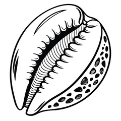 Intricate monochrome seashell presents an elegant pattern and a natural, captivating marine vibe