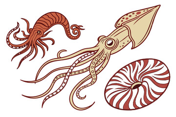 An interesting collection of underwater creatures is depicted here using line art