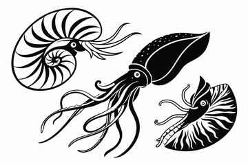 In black and white, two nautilus with one squid are depicted graphically