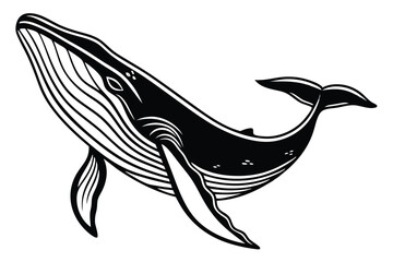 Majestic whale swims gracefully, its detailed black and white pattern accentuating its oceanic beauty
