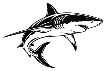 Striking great white shark with sharp teeth swimming aggressively is shown in black and white