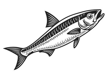 Obraz premium A detailed monochrome drawing of a fish swimming upwards features intricate scale details