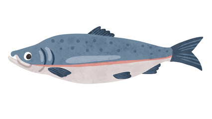 鮭　水彩風手描きイラスト