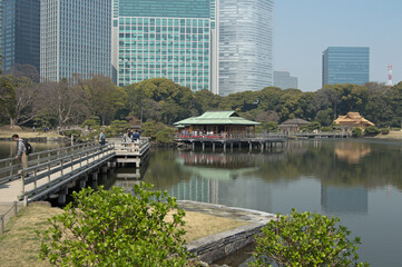 Pond and teahouses at Hamarikyu Gardens, Tokyo, Japan in cherry-blossom season
