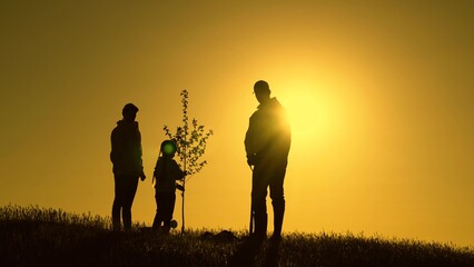 Family mom dad child with shovel planting young tree in soil. Silhouette of family with tree at sunset. Dad mom and child planting tree. Happy family team planting tree in sunny spring time. Gardeners