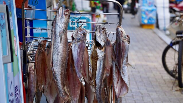 Dried fish hanging by the streetside in Korea