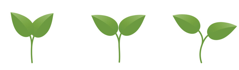 Green sprouted plant. Nature, seedling and planting design elements. Isolated vector images