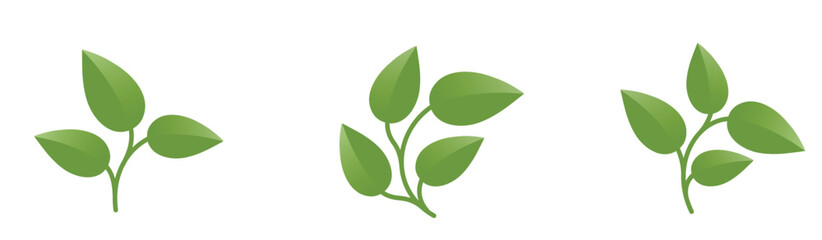 Green curved plants with leaves. Spring, planting and nature design elements. Isolated vector images