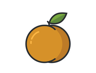 ripe peach with leaf. Fresh organic sweet fruit. Isolated vector image