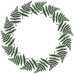 A botanical frame made of green fern leaves on a white background. Vector drawing of green leaves of a plant. © Irina Gutova