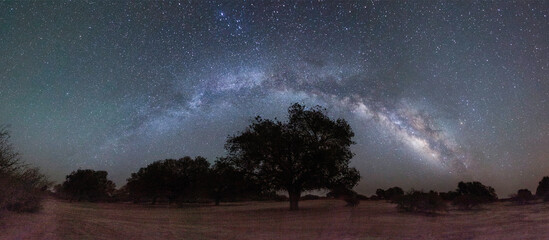 beauty of night