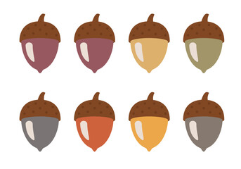 Set of acorns on a white background. Autumn acorns