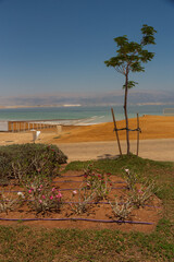 Application of drip irrigation in difficult climatic conditions subject to drought