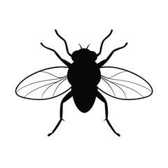 High resolution silhouette of a fly s head perfect for banners advertisements or graphic design projects needing a detailed insect illustration