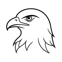 Intense staring eagle head high resolution vector illustration for banners and advertisements