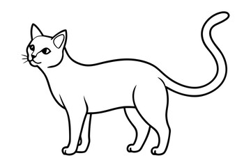 Obraz premium Vector illustration of a cute black and white domestic cat silhouette