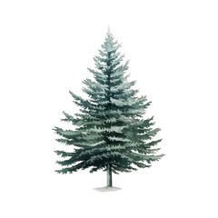 Fototapeta premium A lush evergreen tree showcasing rich green tones against a transparent background.