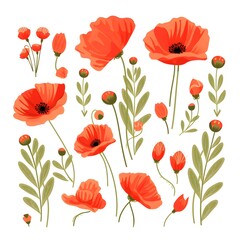 Naklejka premium Vibrant Summer Blooms: Beautiful Poppy Flowers in the Wild