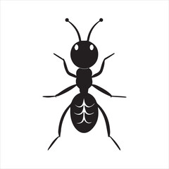 Fototapeta premium ant vector illustration black insect