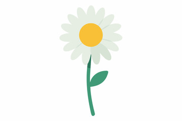 Flat Style Illustration of a White Daisy with Yellow Center and Green Stem